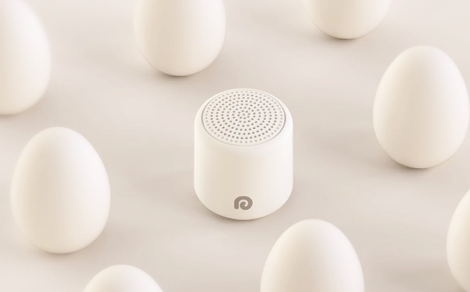 Portable White Noise Machine