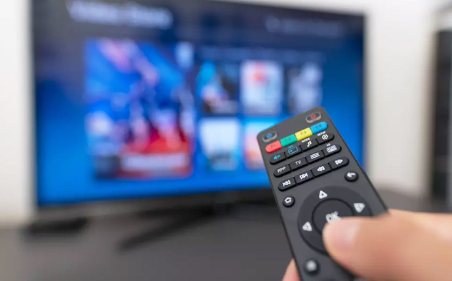 Premium IPTV Subscriptions