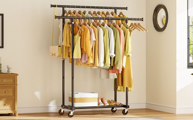 Rolling Clothing Rack in the Room