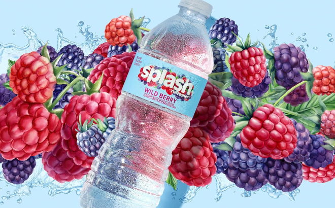 Splash Refresher Wild Berry Flavored Water Splash Refresher Wild Berry Flavored Water