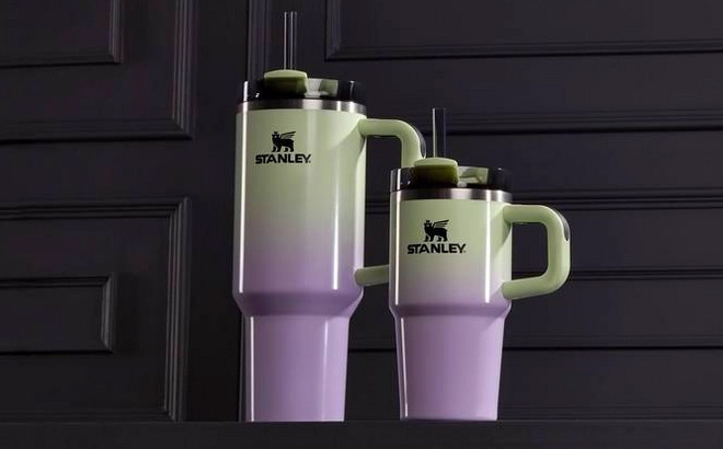 Stanley Halloween 20 oz Stainless Steel H2 0 Flowstate Quencher Tumbler in Hypnotic Green Color