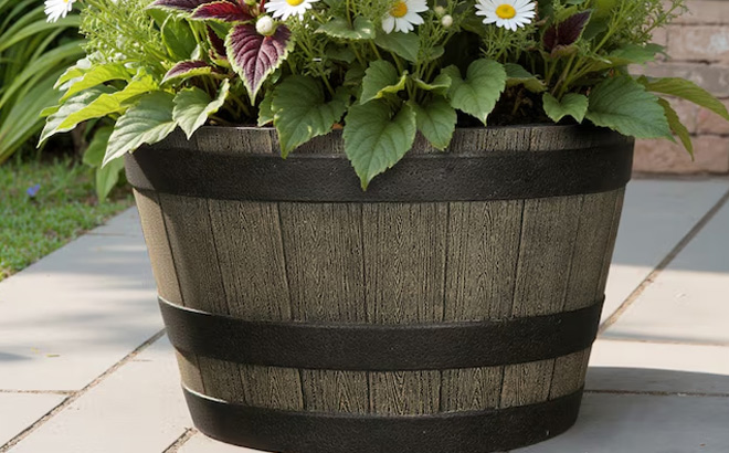 Style Selections 19 29 Inch Large Whiskey Barrel Planter Style Selections 19 29 Inch Large Whiskey Barrel Planter