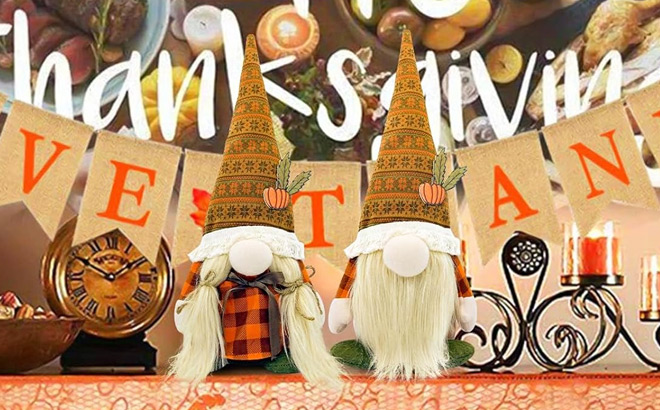 Thanksgiving Gnome 2 Pack Thanksgiving Gnome 2 Pack