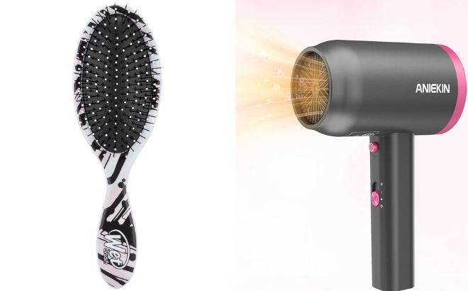 Wet Brush Original Detangler Hair Brush and Aniekin Hair Dryer