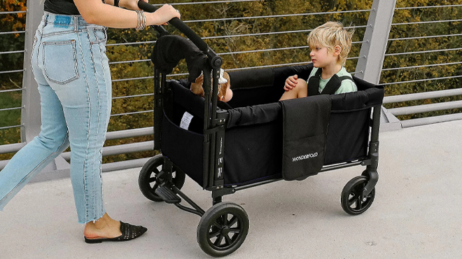 WonderFold W1 Double Stroller Wagon