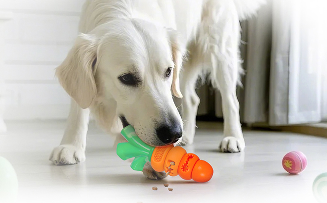A Dog chewing a Frienhund Bacon Flavored Dog Chew Toy
