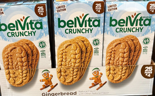 Belvita Gingerbread Cookies