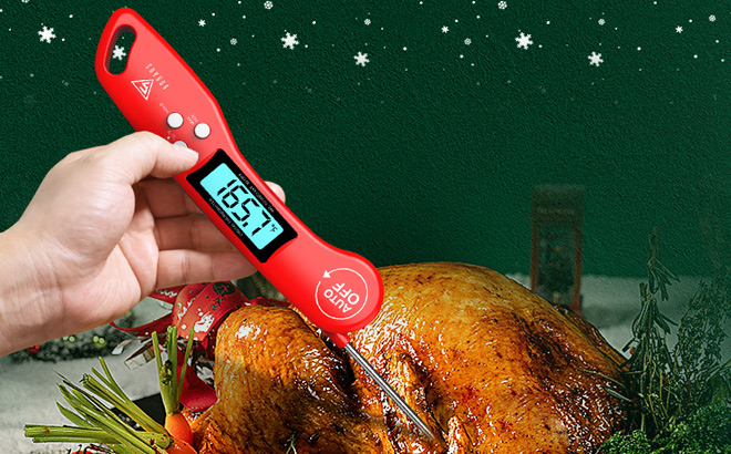 DOQAUS Digital Meat Thermometer