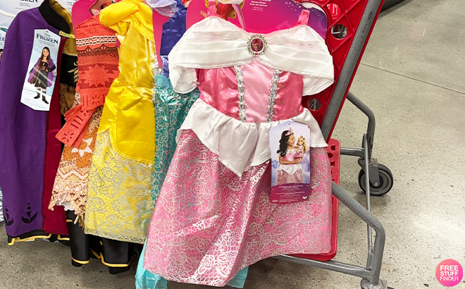 Disney Princess Aurora Dress Disney Princess Aurora Dress