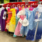 Disney Princess Dresses 1