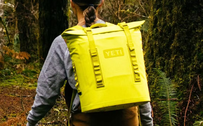 Firefly Yellow Collection Firefly Yellow Collection