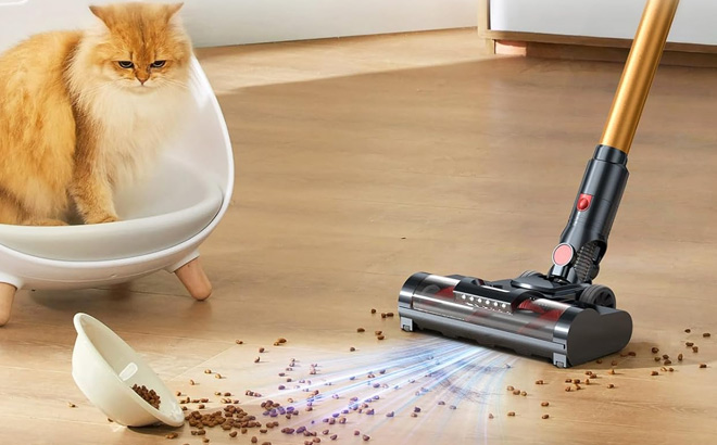 Frecaer Cordless Vacuum Cleaner