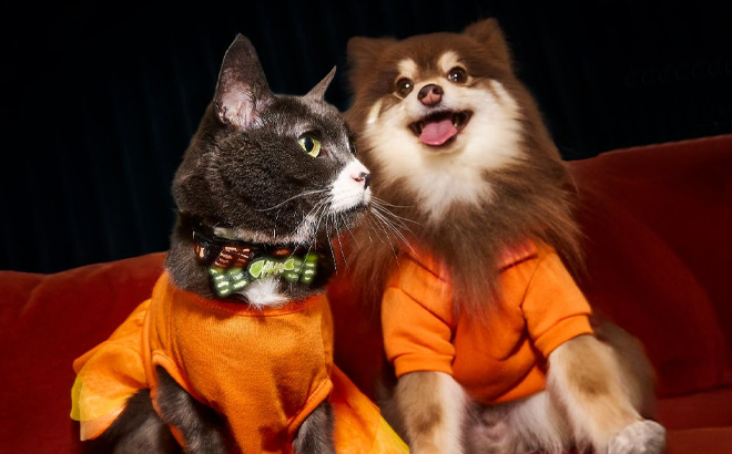 Halloween Trick or Treat Event