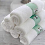 Hiphop Panda Baby Washcloths 6 Pack
