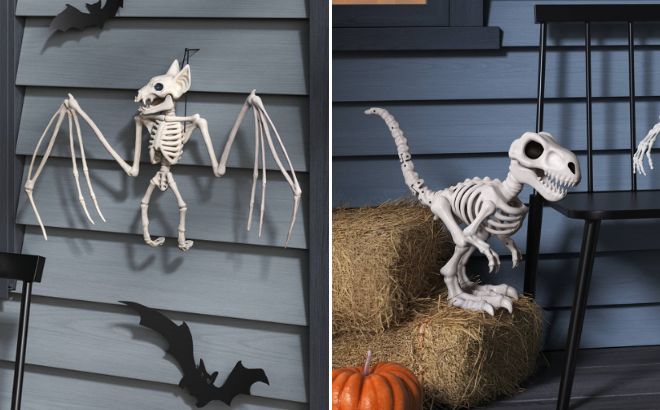 Hyde and EEK Bat and Large T Rex Skeleton Decorative Prop Hyde and EEK Bat and Large T Rex Skeleton Decorative Prop