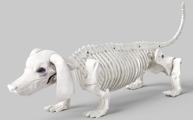Hyde and EEK Dachshund Skeleton Decorative Prop Hyde and EEK Dachshund Skeleton Decorative Prop