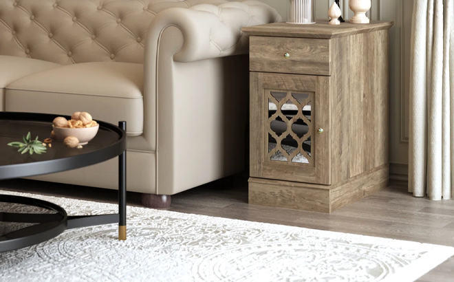 Korbin Modern Decorative 1 Door End Table with Drawer in a Living Room
