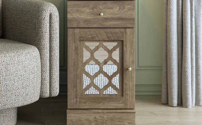 Korbin Modern Decorative 1 Door End Table with Drawer