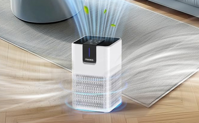 Large Room Air Purifier Large Room Air Purifier