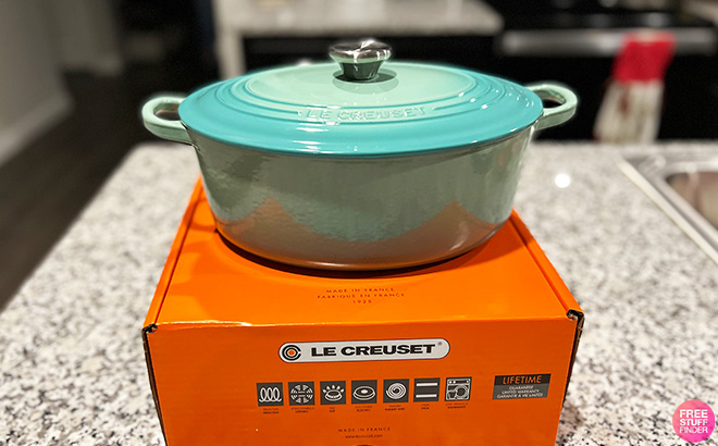 Le Creuset Cast Iron Dutch Oven in Sea Salt Color