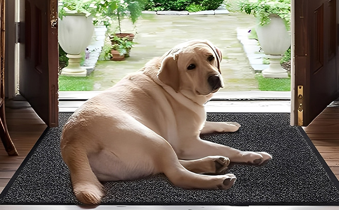 Mibao Front Door Mat Mibao Front Door Mat