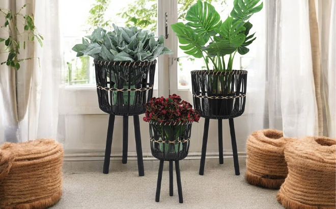 Neutral Boho Wicker Planter Stand Set Versatile Indoor Garden Decor