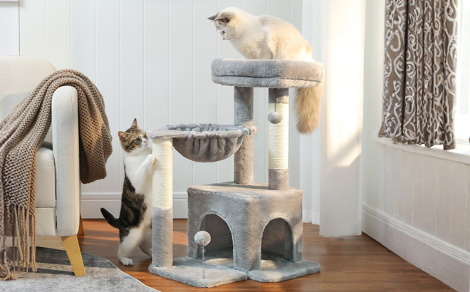 Pawz Road 29 5 Inch Cat Tree