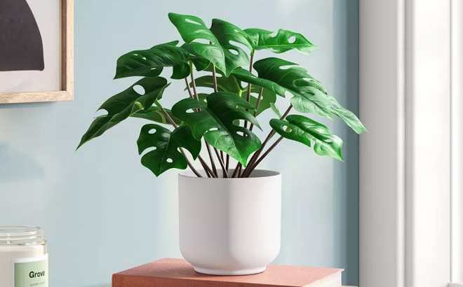 Room Essentials Monstera Artificial Plant Room Essentials Monstera Artificial Plant