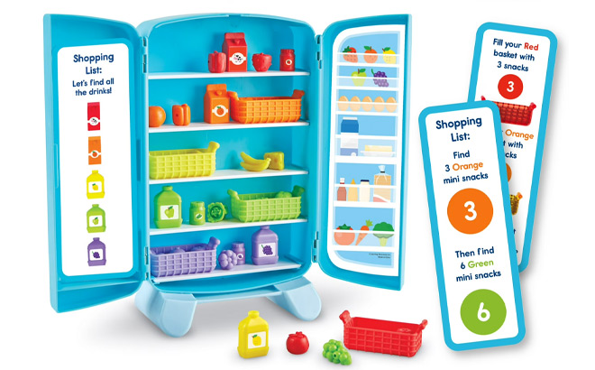 Sorting Snacks Mini Fridge Toy