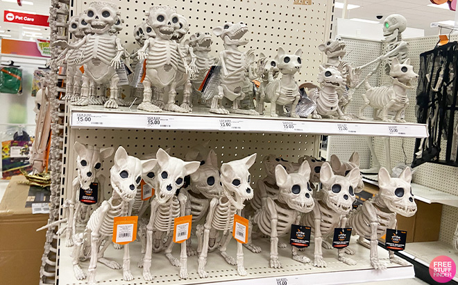 Target Skeleton Decor Overview