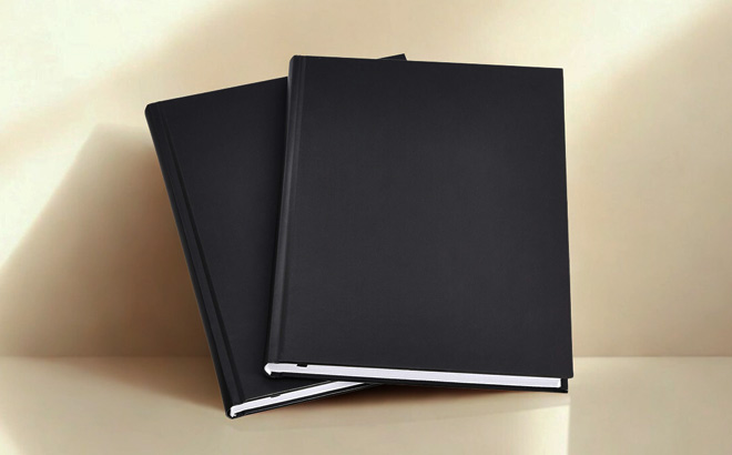 Two Amazon Basics Professional Journal