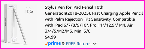 iPad Stylus Pen Checkout Screen