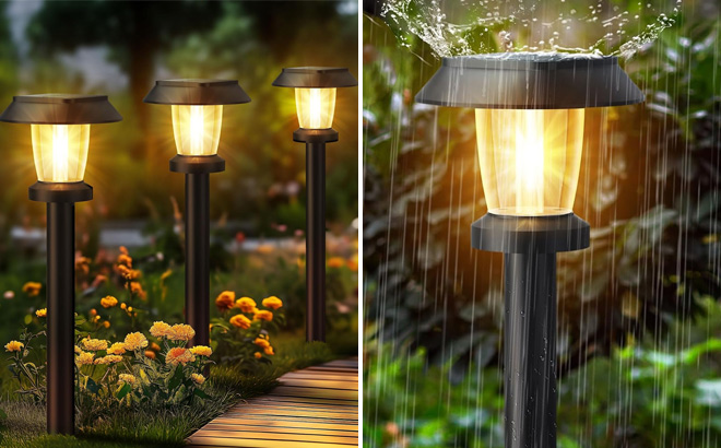 10 Pack Solar Pathway Light