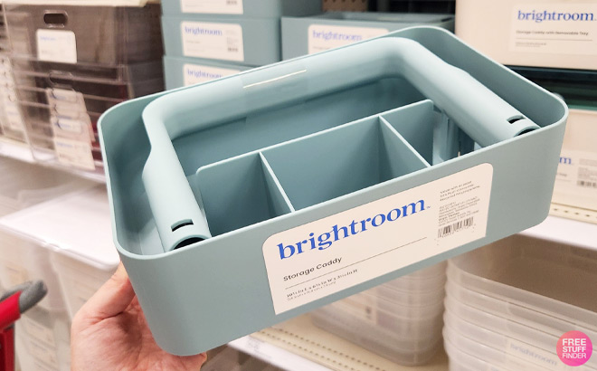 A Person Holding Brightroom Storage Caddy A Person Holding Brightroom Storage Caddy