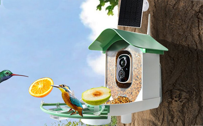 Aprilmin Smart Bird Feeder with Camera Aprilmin Smart Bird Feeder with Camera