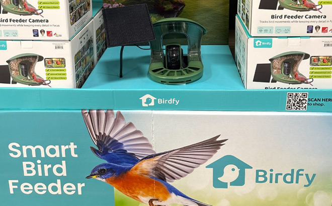 Birdfy Solar Powered Bird Feeder 2 Pro with AI Camera
