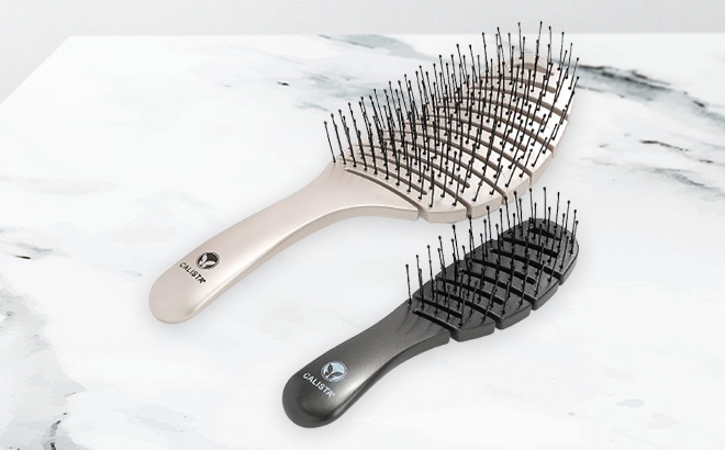 Calista Mini Large Smoothie Brush Set