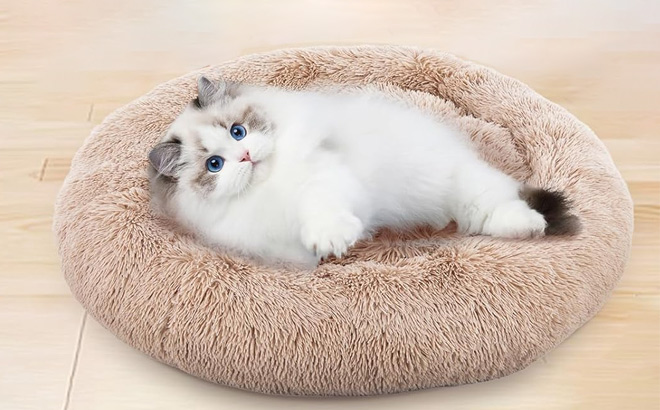 Cat Enjoying on FluffyDream Donut Pet Bed