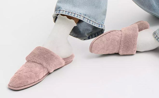 Coach Outlet Sherpa Flat Mule In Signature Suede Coach Outlet Sherpa Flat Mule In Signature Suede