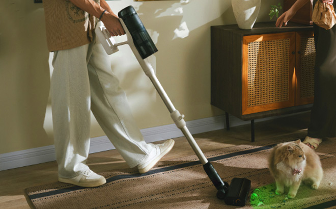 Cordless Stick Vacuum