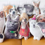 Custom 3D Pet Photo Pillows