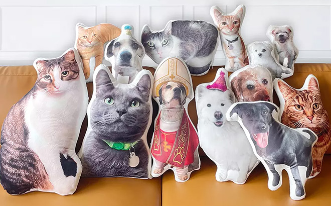 Custom 3D Pet Photo Pillows