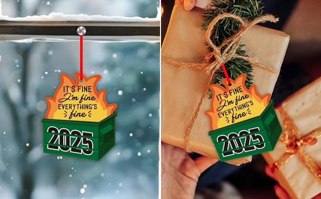 Dumpster Fire Ornament