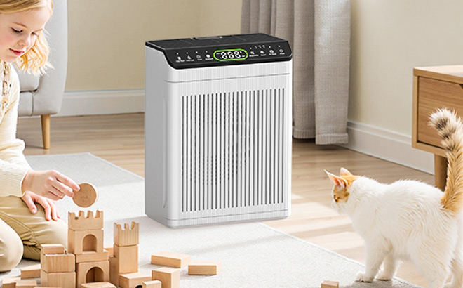 Evalit Large Room Air Purifier on the Table