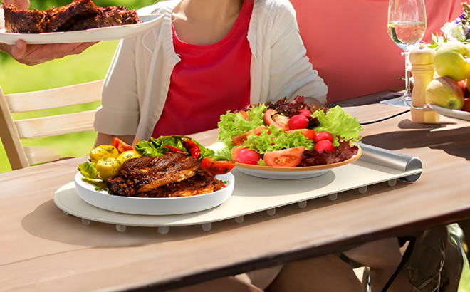 Food Warming Mat