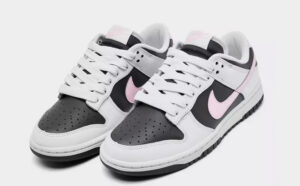 Grey Nike Dunk Shoes
