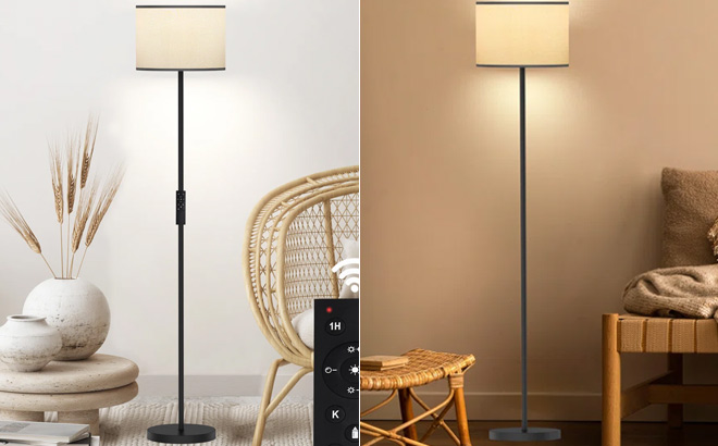 Hongyu 61 5 Inch Traditional Floor Lamp with Remote Control