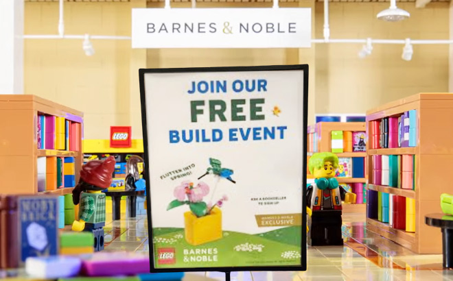 LEGO Hummingbird at Barnes Noble