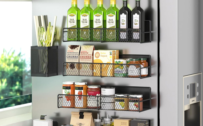 Magnetic Spice Rack for Refrigerator