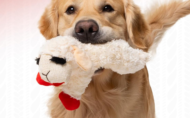 Multipet Mini Lamb Chop Plush Toy Multipet Mini Lamb Chop Plush Toy